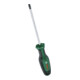 Bosch Handwerkzeuge Schraubendreher TX TX30 x 125 mm
