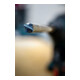 Bosch Hartmetall-Hammerbohrer SDS-max EXPERT„8X“ SDS-max,⌀xganze Länge: 12X340mm