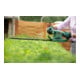 Bosch Heckenschere EasyHedgeCut 55