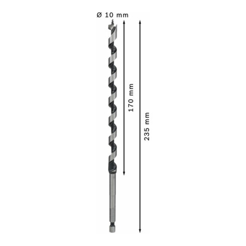 Bosch houtboor zeskant 10 x 170 x 235 mm d 6,35 mm