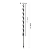 Bosch houtboor zeskant 10 x 170 x 235 mm d 6,35 mm-5