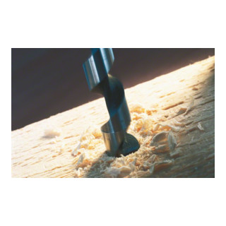 Bosch houtslangbit met zeskantige schacht