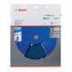 Bosch Kreissägeblatt Expert for Fibre Cement 300 x 30 x 2,4 mm 8-3