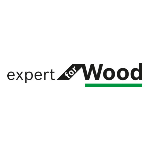 Bosch Kreissägeblatt Expert for Wood 210 x 30 x 2,4 mm 40