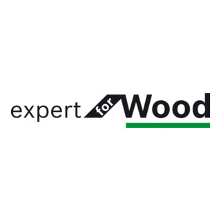 Bosch Kreissägeblatt für Akkusägen Expert for Wood