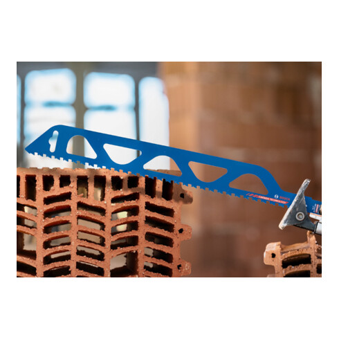 Bosch Lama per sega a gattuccio EXPERT Hollow Brick S 2243 HM
