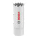 Bosch Multi Material gatenzaag met schroefdraad, 19 x 40 mm