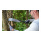 Bosch Outils à main Scie Kataba 270 mm-2