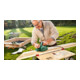 Bosch Pialla PHO 1500-2