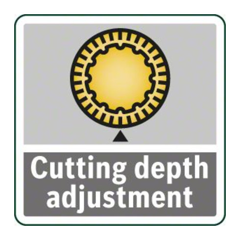 Bosch Pialla PHO 3100