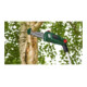 Bosch Potatore telescopico a batteria UniversalChainPole 18-4