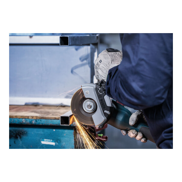 Bosch Power Tools 3-in-1 Scheibe 125 x 2,5mm 2608602389
