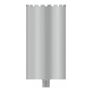 Bosch PRO Nassbohrkrone, 250 x 450 mm, 1 1/4" UNC-5