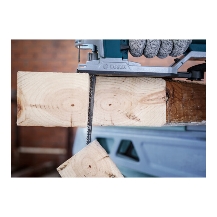 Bosch PRO Wood precise Lame de scie sauteuse T344DP, 152 mm, 2 pcs