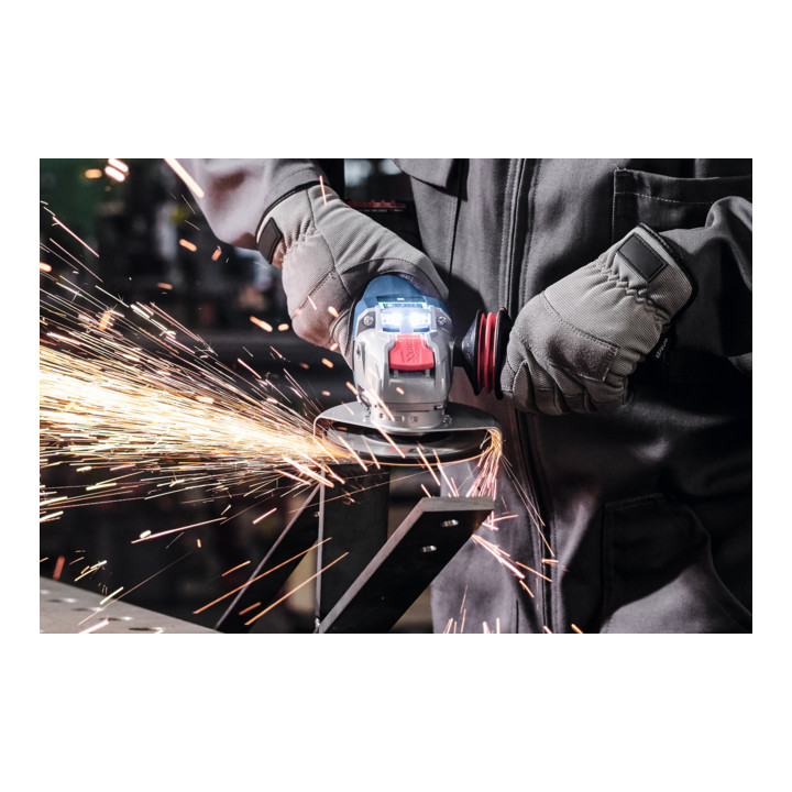 Bosch Professional Schruppscheibe Expert for Metal für Metall, X-LOCK