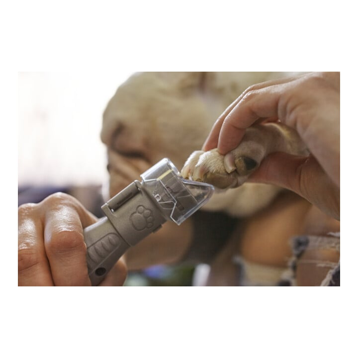 Bosch Protection pour griffes AT02-PGK