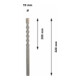 Bosch Punta per trapano a percussione SDS max-7, 19x200x320mm-5
