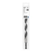 Bosch Punta trapano per legno, punta M, 18x250mm d 10mm-2