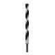 Bosch Punta trapano per legno, punta M, 20x250mm d 10mm-2