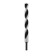 Bosch Punta trapano per legno, punta M, 20x250mm d 10mm-2