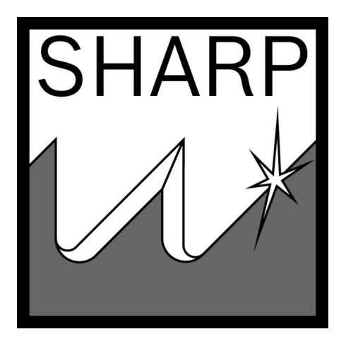 Bosch Säbelsägeblatt S 644 D, Top for Wood