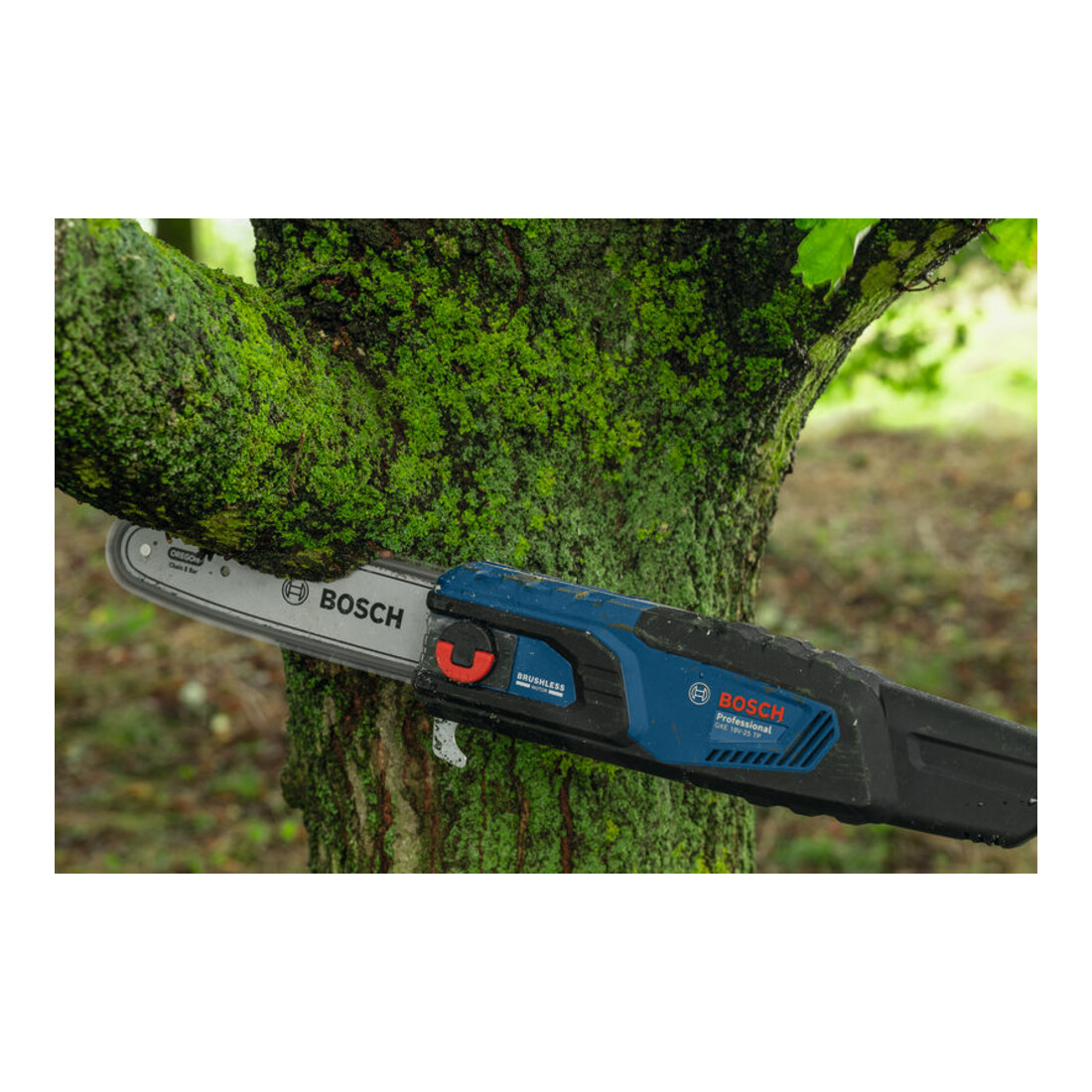 Bosch Sägekette 25 cm 1,1 mm Professional
