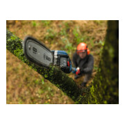 Bosch Sägekette 25 cm 1,1 mm Professional-5