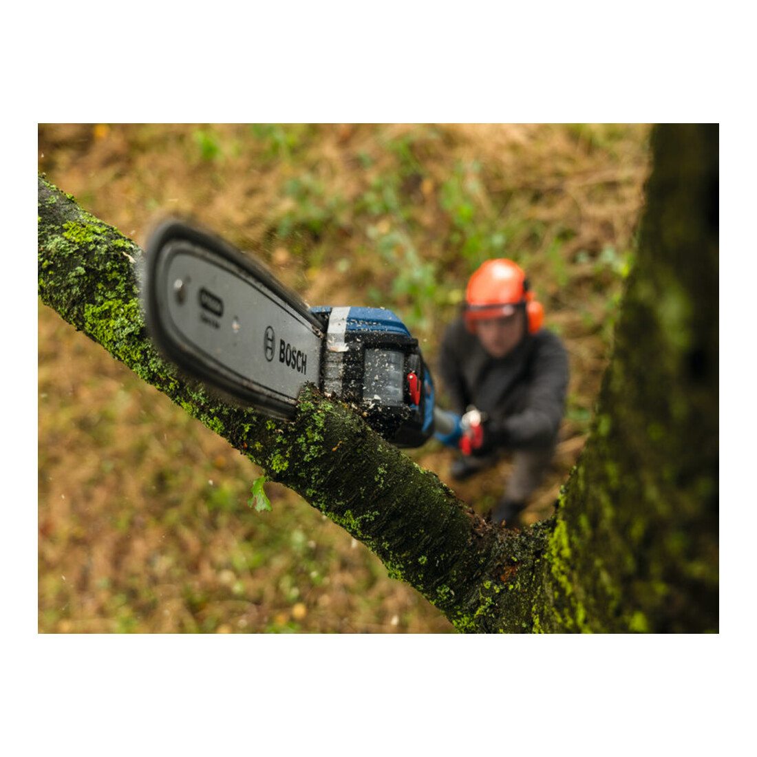 Bosch Sägekette 25 cm 1,1 mm Professional