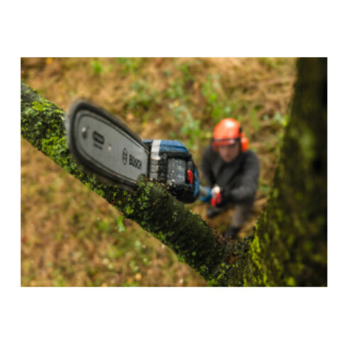 Bosch Sägekette 25 cm 1,1 mm Professional