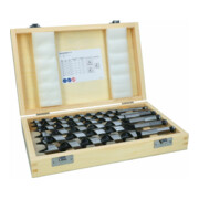 Bosch Schlangenbohrer-Set 6-teilig 10 - 20 mm 160 mm 235 mm