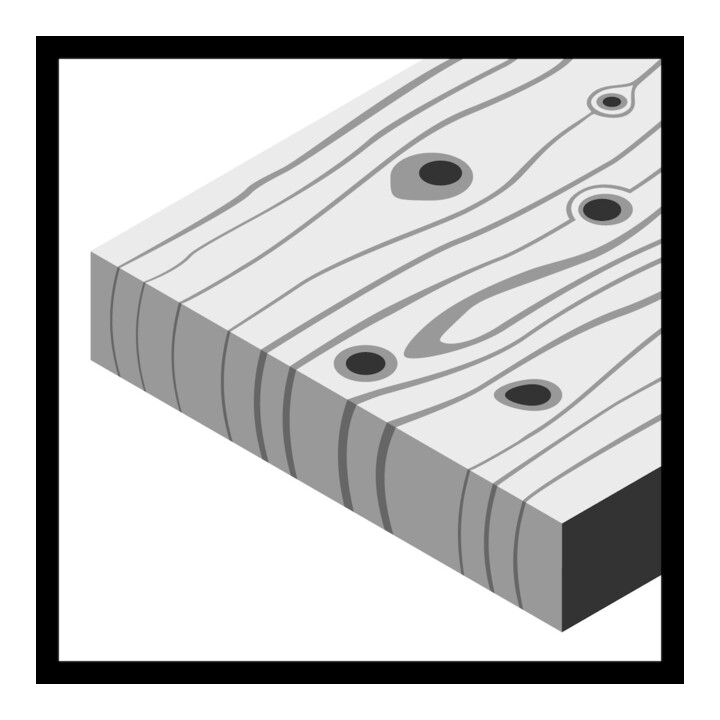Bosch Schleifblatt C430 93 mm 60 80 100 120 180 6 Löcher Klett