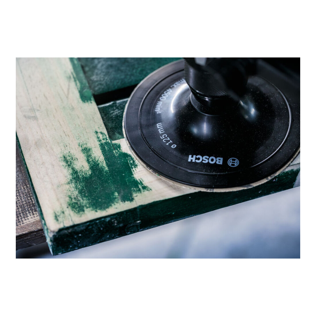 Bosch Schleifblatt-Set F460 Expert for Wood and Paint 125 mm 40 - 180