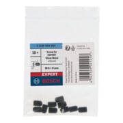 Bosch Schraube für EXPERT Sheet Metal Lochsäge mit Aufsteckhalter, M6x5x48 mm, 10-tlg.-1
