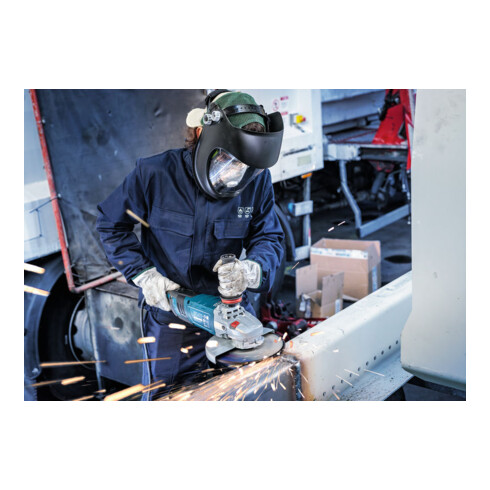 Bosch Schruppscheibe gekröpft Expert for Metal A 30 T BF 230 mm 22,23 mm 8 mm