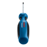 Bosch Screwdriver Schlitz-2