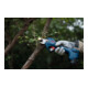 Bosch Sécateur sans fil GGP 12V-25-5