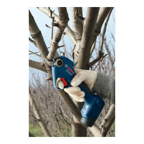 Bosch Sécateur sans fil GGP 12V-25