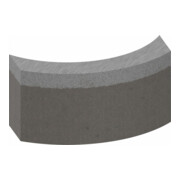 Bosch Segmente für Diamantbohrkrone Standard for Concrete 32 mm 3, 10 mm