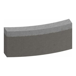 Bosch Segmenti per corone diamantate Standard for Concret, 102mm 7, 10mm