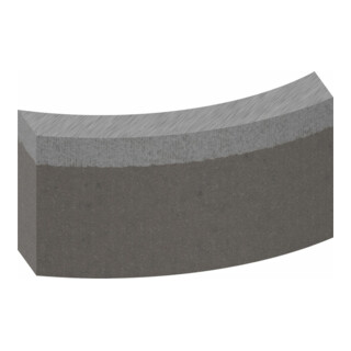 Bosch Segmenti per corone diamantate Standard for Concret, 42mm 4, 10mm