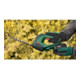 Bosch Set cisailles à haies et gazon sans fil AdvancedShear 18V-10, Solo