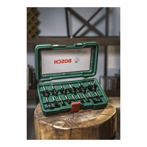 Bosch Set di frese -HM, 15pz., gambo Ø1/4"