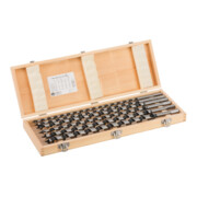 Bosch Set di punte a elica 6 pezzi 10 - 20 mm 360 mm 450 mm