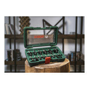 Bosch Set di scalpelli SDS-plus, 3 pezzi-2