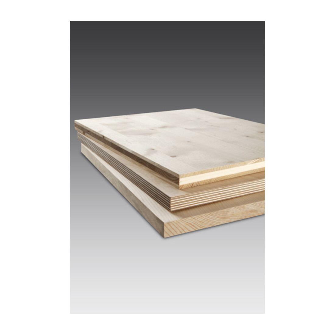 Bosch Stichsägeblatt HCS, T 308 BP Precision for Wood