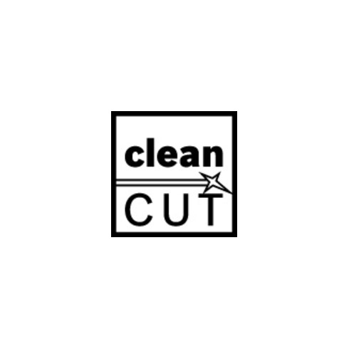 Bosch Stichsägeblatt T 101 D, Clean for Wood