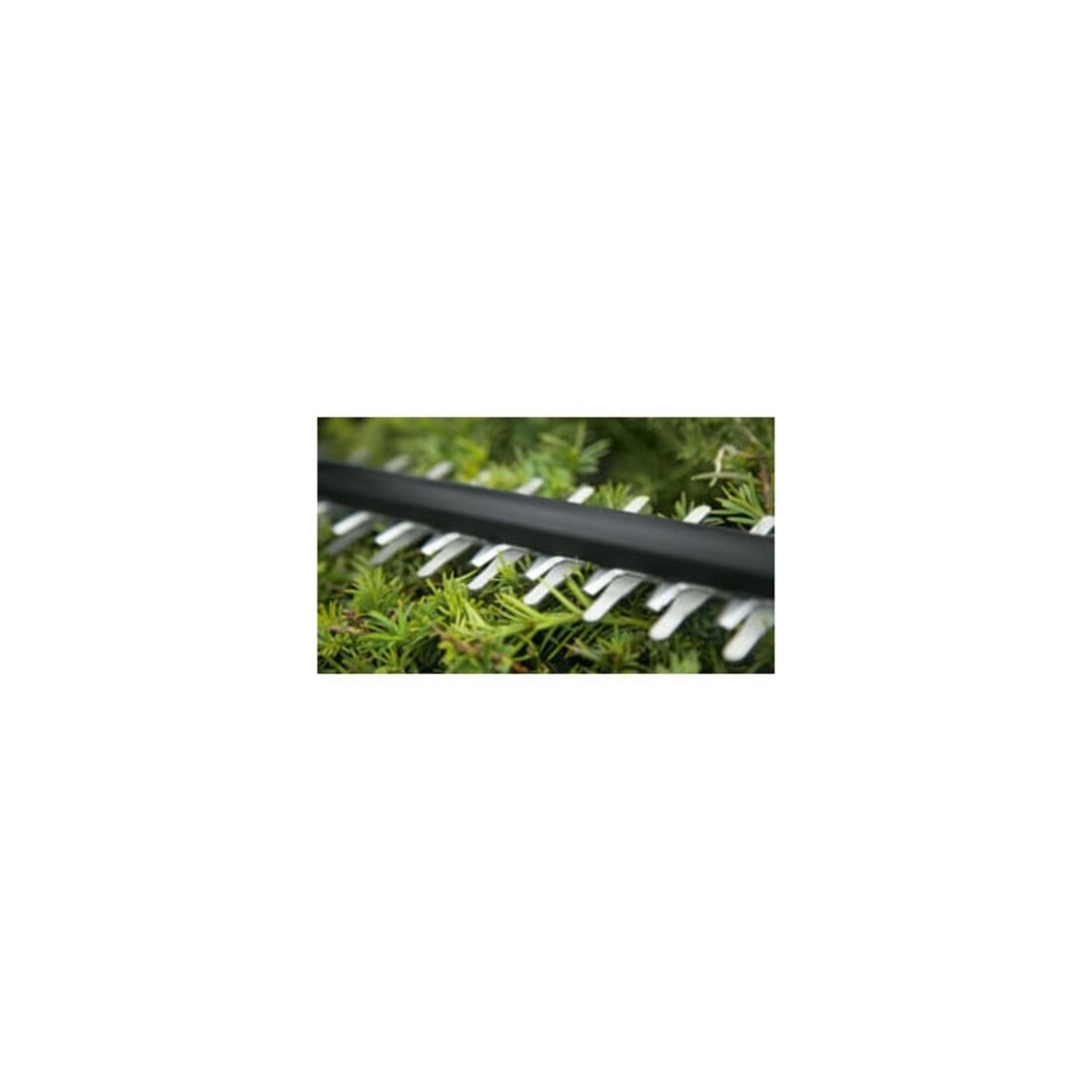 Bosch Tagliasiepi a batteria UniversalHedgeCut 18V-50