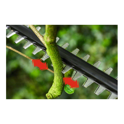 Bosch Tagliasiepi telescopico a batteria UniversalHedgePole 18
