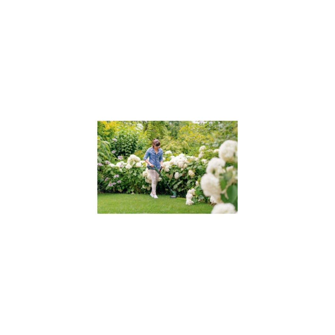 Bosch Taille-bordures sans fil EasyGrassCut 18V-230