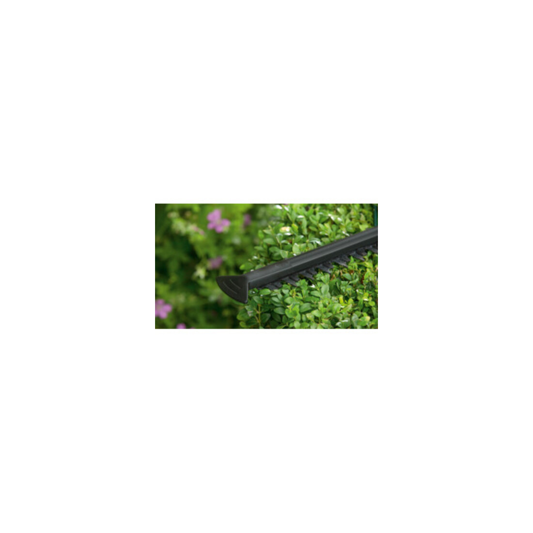 Bosch Taille-haie EasyHedgeCut 60